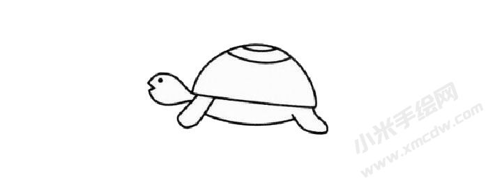 烏龜簡(jiǎn)筆畫繪制步驟03.jpg