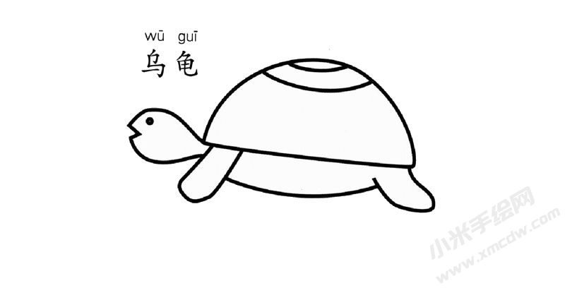 烏龜簡(jiǎn)筆畫作品圖片