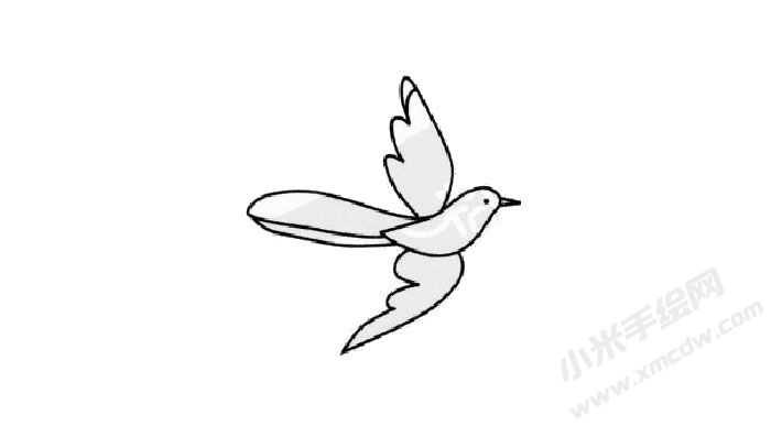 喜鵲簡(jiǎn)筆畫(huà)創(chuàng)作步驟03.jpg