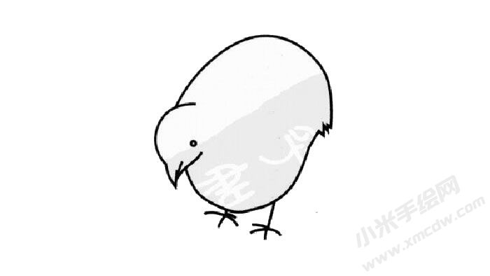 鷓鴣簡筆畫創(chuàng)作步驟03.jpg