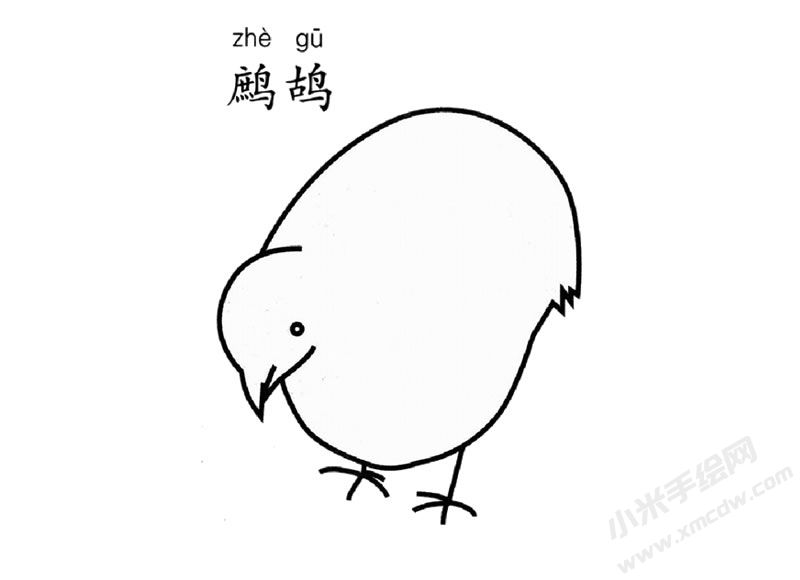 鷓鴣簡筆畫圖片