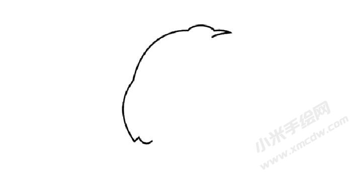 鵪鶉簡筆畫創(chuàng)作步驟01.jpg
