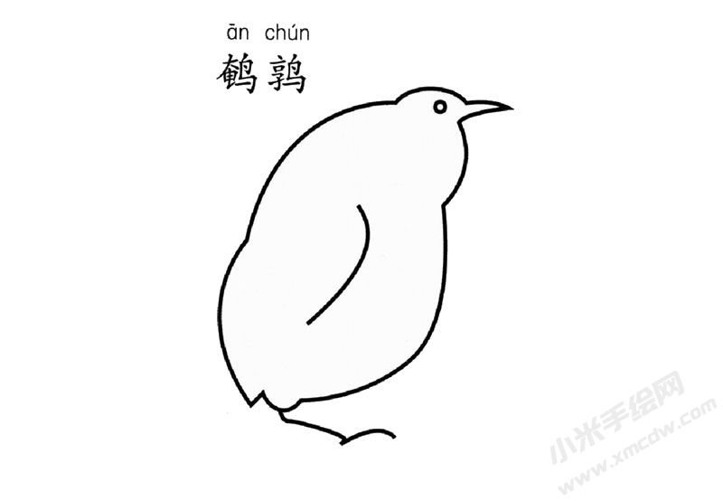 鵪鶉簡筆畫圖片