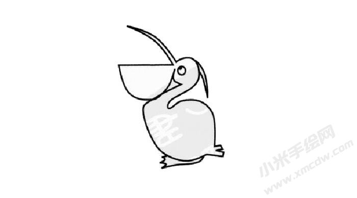 鵜鶘簡筆畫創(chuàng)作步驟03.jpg