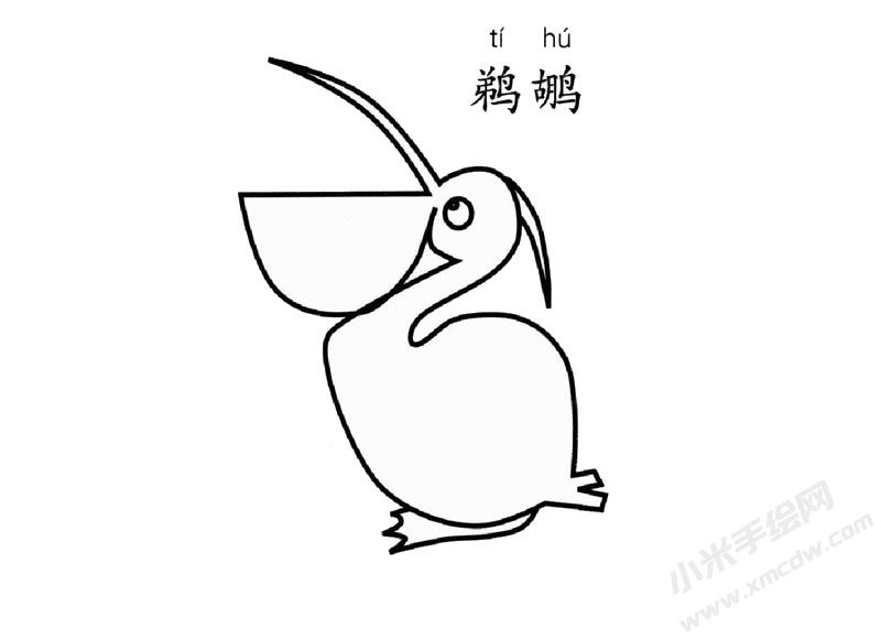 鵜鶘簡筆畫圖片
