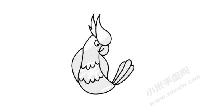 鸚鵡兒童簡筆畫步驟03.jpg