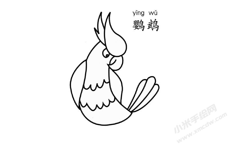 鸚鵡兒童簡筆畫圖片