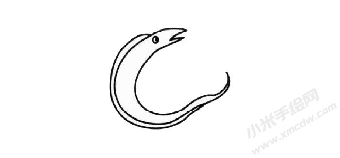 帶魚簡筆畫創(chuàng)作步驟03.jpg