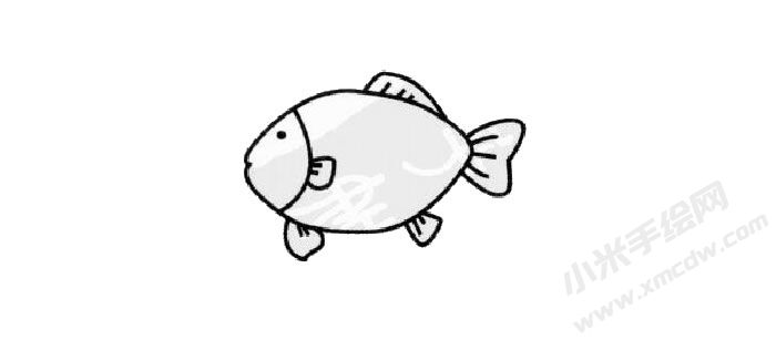 鯽魚簡筆畫創(chuàng)作步驟03.jpg