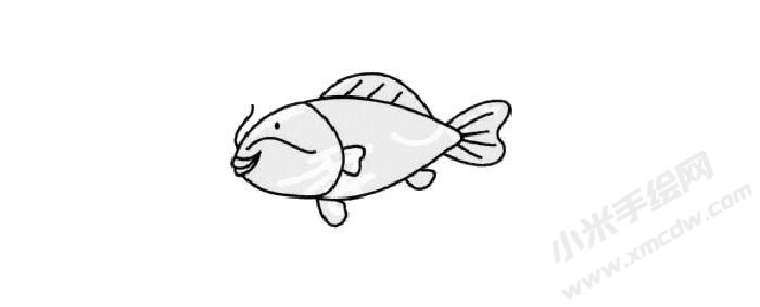 鯉魚簡筆畫創(chuàng)作步驟03.jpg