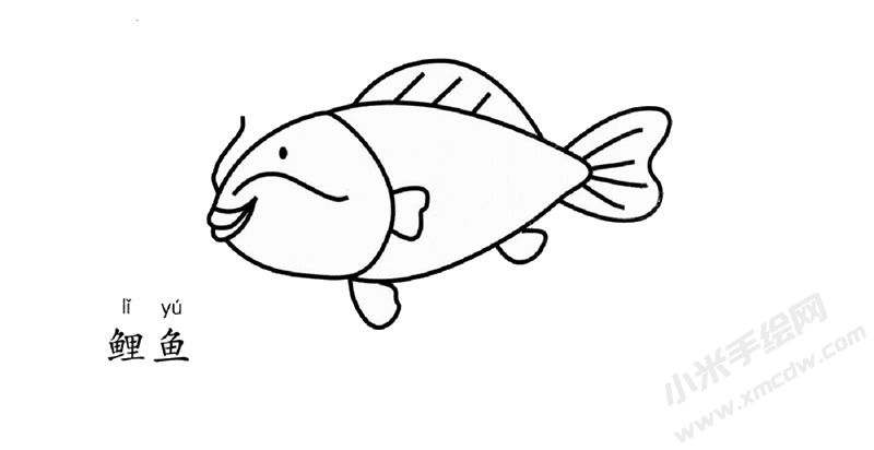 鯉魚簡筆畫圖片