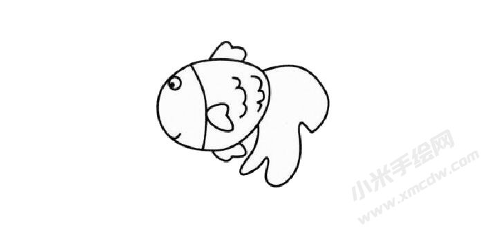 金魚簡筆畫繪制步驟03.jpg