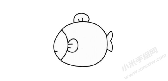 熱帶魚簡筆畫繪制步驟02.jpg