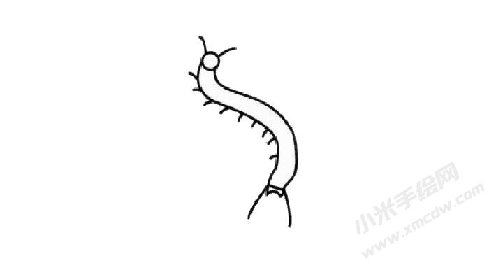 蜈蚣簡(jiǎn)筆畫繪制步驟02.jpg