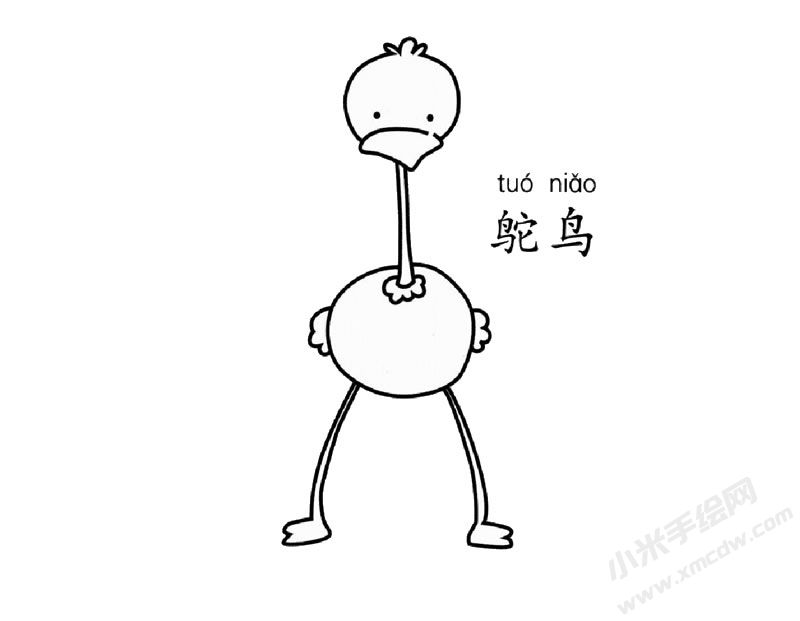 鴕鳥簡筆畫圖片