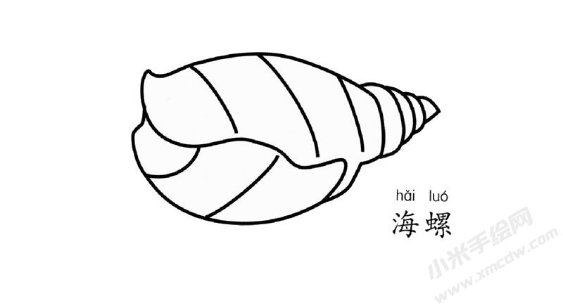 海螺簡(jiǎn)筆畫(huà)圖片