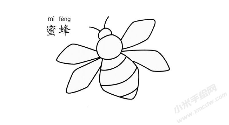 蜜蜂兒童簡筆畫圖片