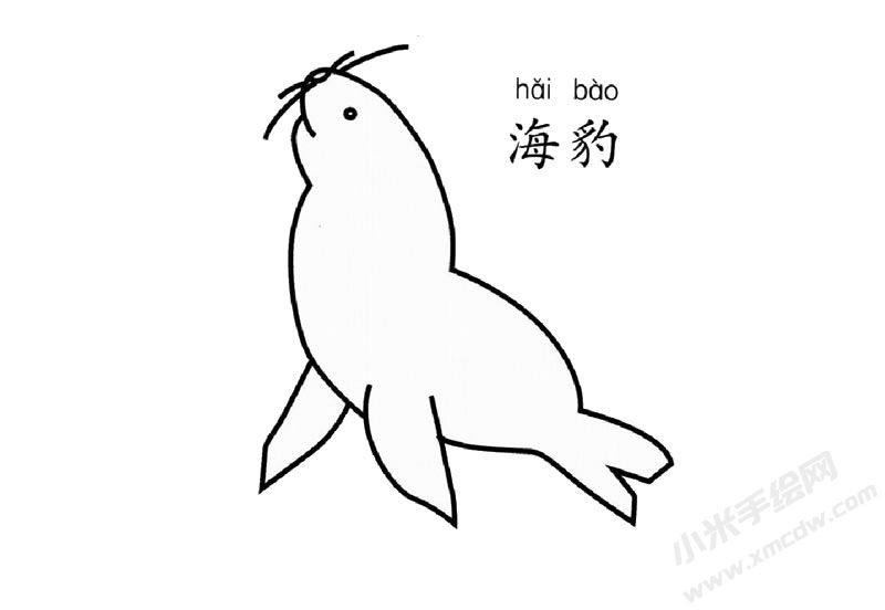 海豹兒童簡筆畫圖片