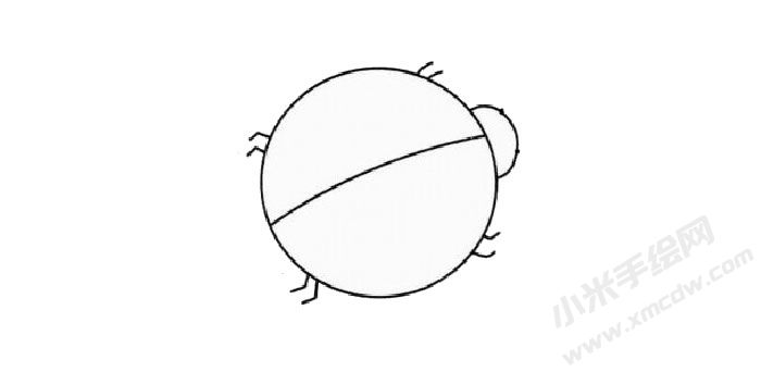 七星瓢蟲兒童簡(jiǎn)筆畫繪制步驟02.jpg