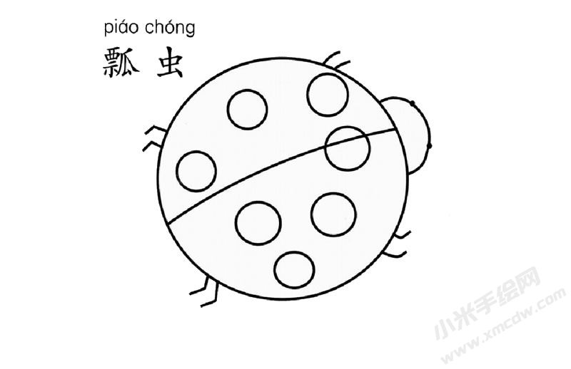 七星瓢蟲兒童簡(jiǎn)筆畫圖片
