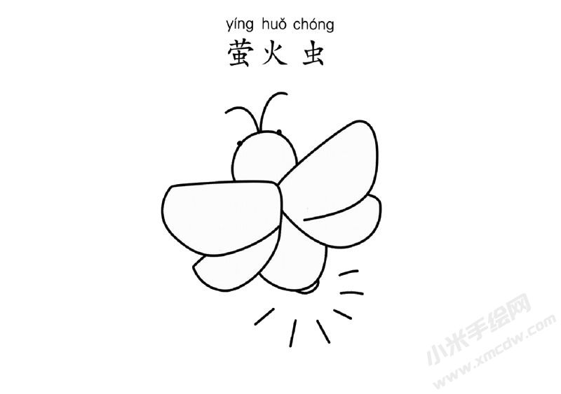 螢火蟲簡筆畫圖片