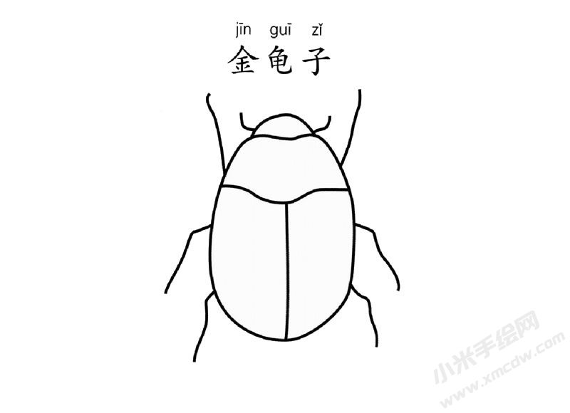 金龜子簡(jiǎn)筆畫(huà)圖片