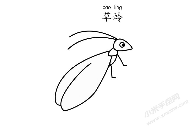 草蛉簡筆畫圖片