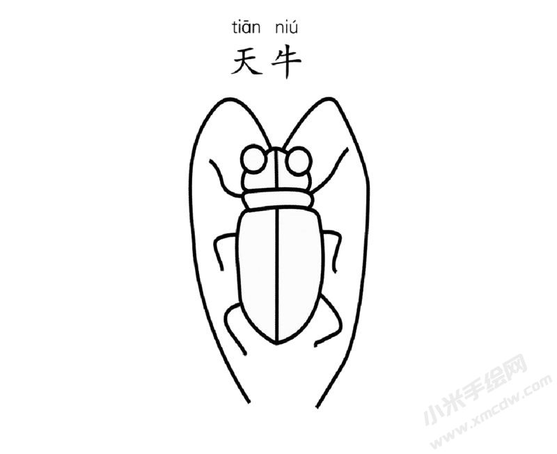 天牛簡(jiǎn)筆畫圖片