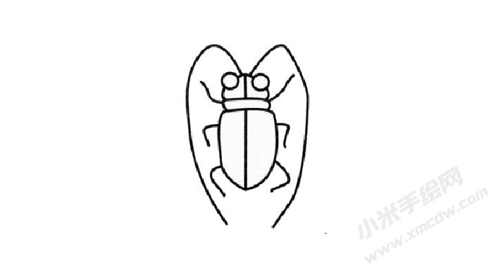 天牛簡(jiǎn)筆畫繪制步驟03.jpg