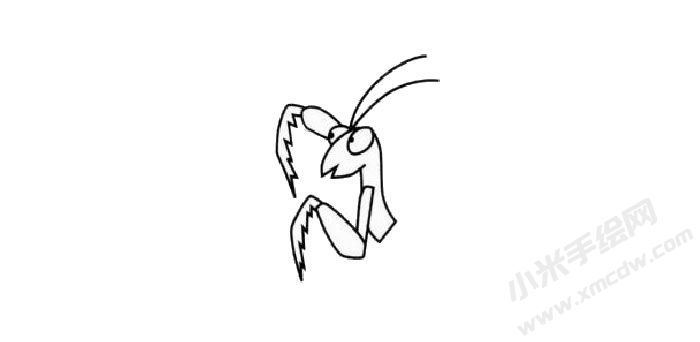 螳螂簡(jiǎn)筆畫繪制步驟02.jpg