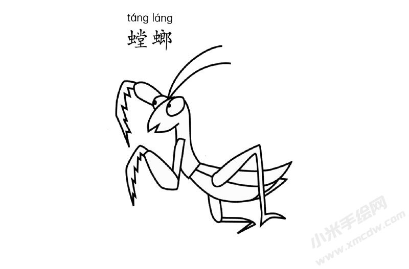 螳螂簡(jiǎn)筆畫圖片