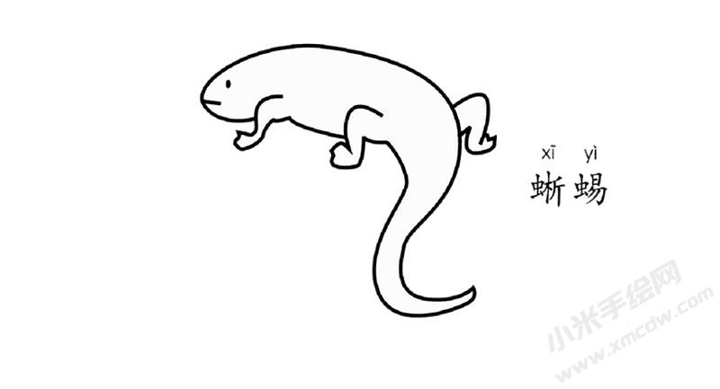 蜥蜴簡筆畫圖片