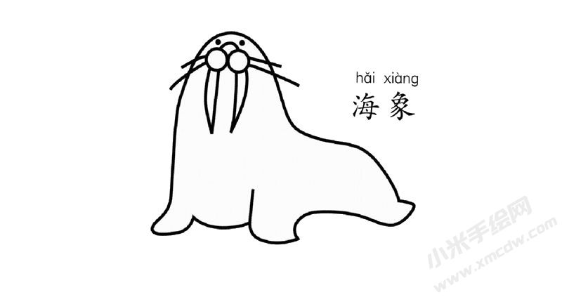 海象簡(jiǎn)筆畫圖片