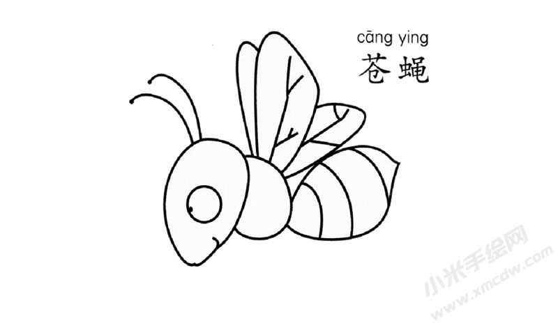 蒼蠅兒童簡筆畫圖片