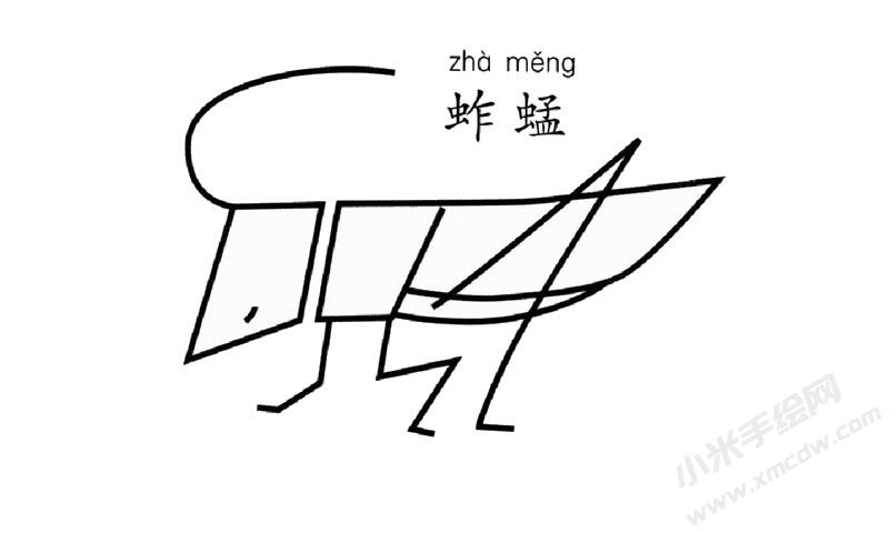 蚱蜢簡筆畫圖片