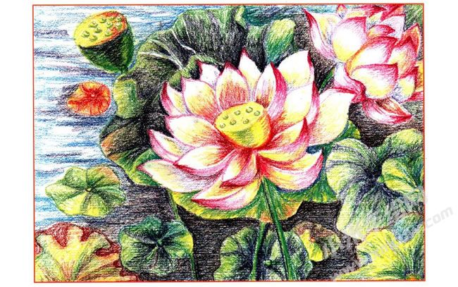 荷花油畫棒創(chuàng)作步驟04.jpg