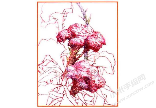 雞冠花油畫(huà)棒創(chuàng)作步驟02.jpg