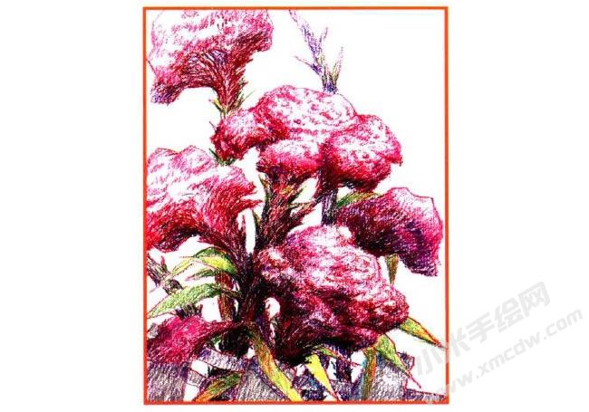 雞冠花油畫(huà)棒創(chuàng)作步驟03.jpg