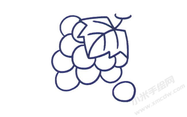 葡萄簡(jiǎn)筆畫(huà)繪制步驟03.jpg