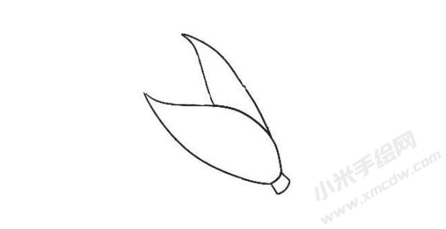 玉米簡(jiǎn)筆畫(huà)繪制步驟02.jpg