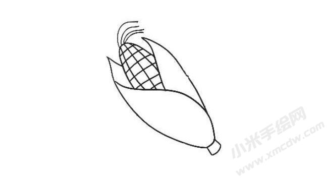 玉米簡(jiǎn)筆畫(huà)繪制步驟04.jpg