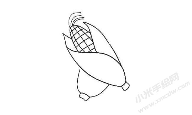 玉米簡(jiǎn)筆畫(huà)繪制步驟05.jpg