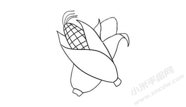玉米簡(jiǎn)筆畫(huà)繪制步驟07.jpg