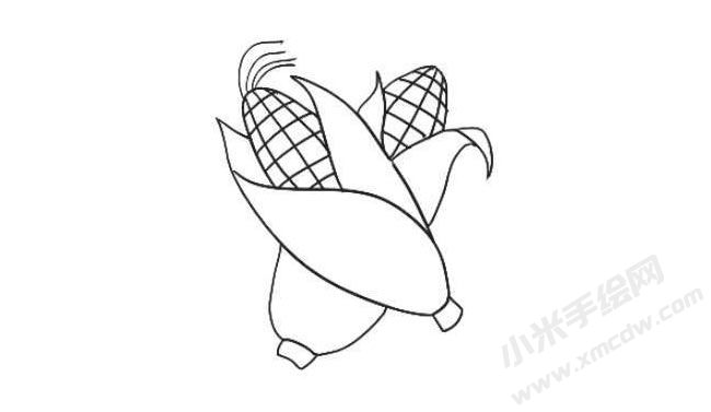 玉米簡(jiǎn)筆畫(huà)繪制步驟08.jpg