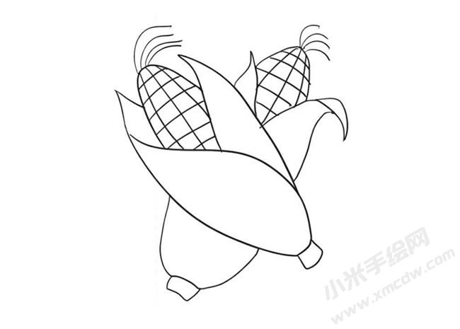 玉米簡(jiǎn)筆畫(huà)繪制步驟09.jpg