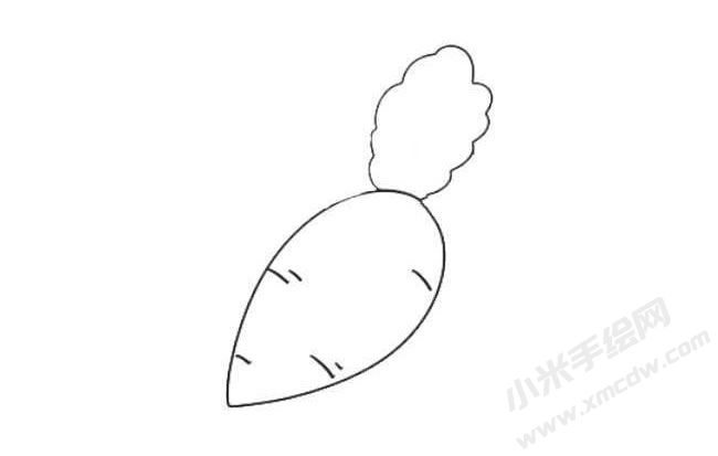 蘿卜簡(jiǎn)筆畫繪制步驟04.jpg