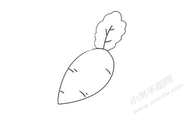 蘿卜簡(jiǎn)筆畫繪制步驟05.jpg