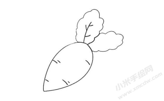 蘿卜簡(jiǎn)筆畫繪制步驟06.jpg