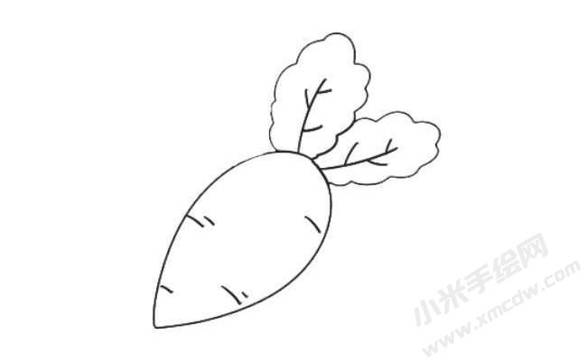 蘿卜簡(jiǎn)筆畫繪制步驟07.jpg