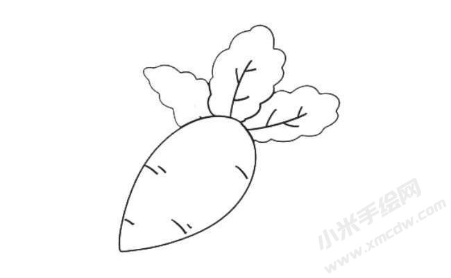 蘿卜簡(jiǎn)筆畫繪制步驟08.jpg